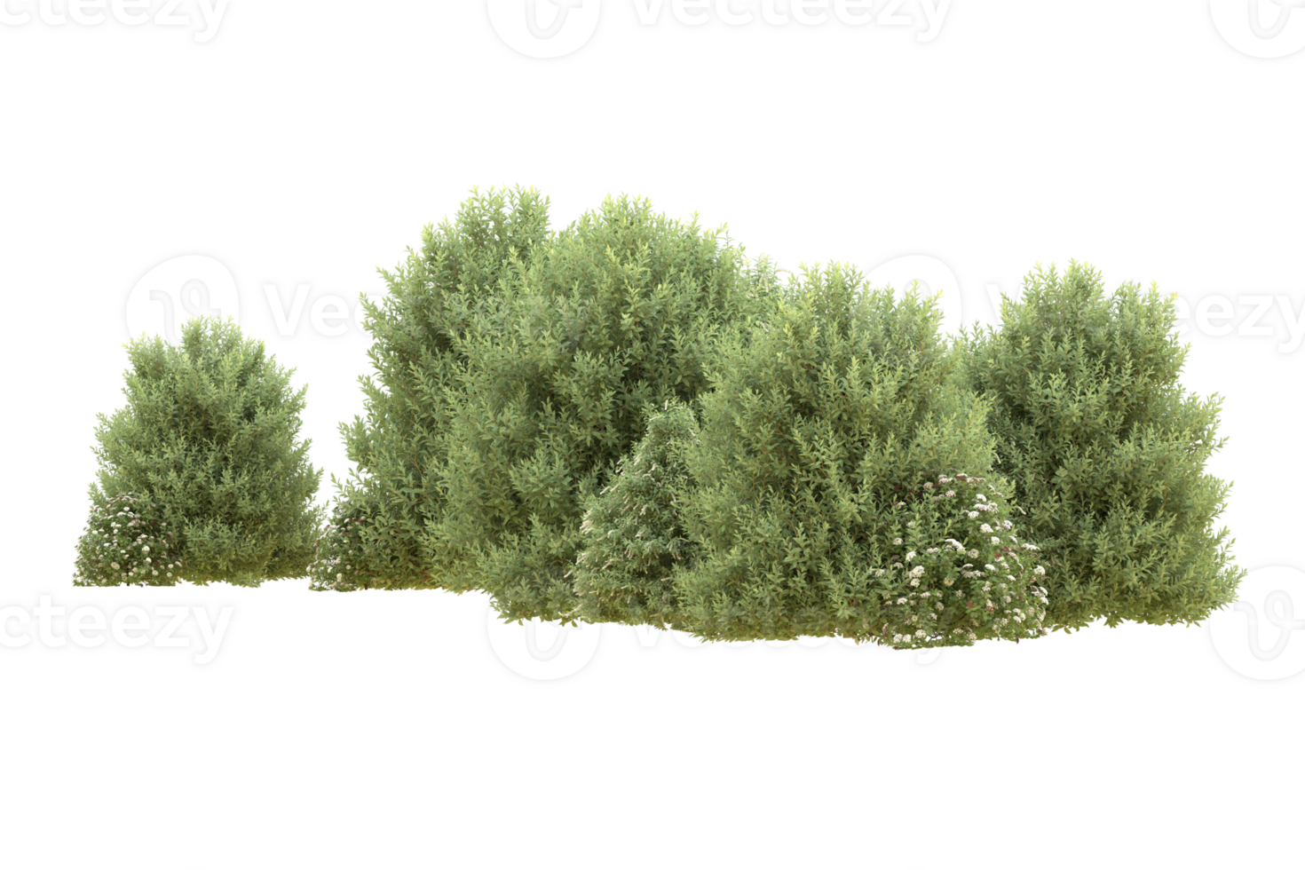 Realistic forest isolated on transparent background. 3d rendering - illustration png