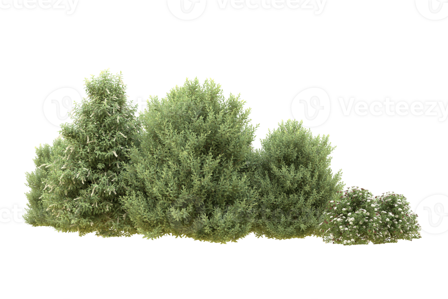 Realistic forest isolated on transparent background. 3d rendering - illustration png