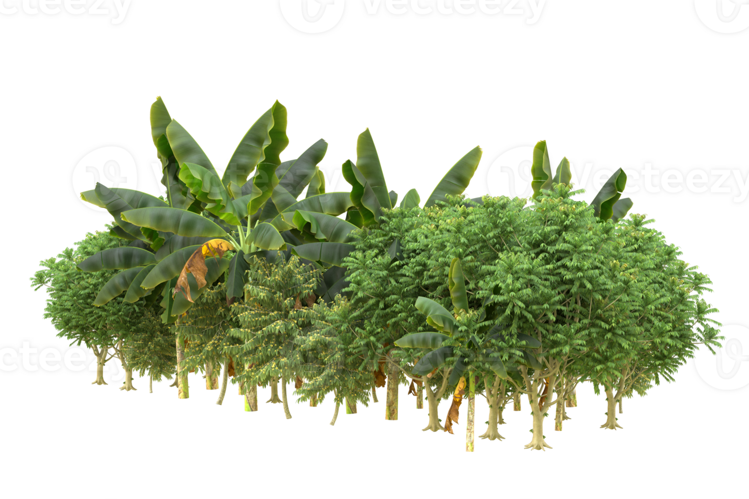 Realistic forest isolated on transparent background. 3d rendering - illustration png