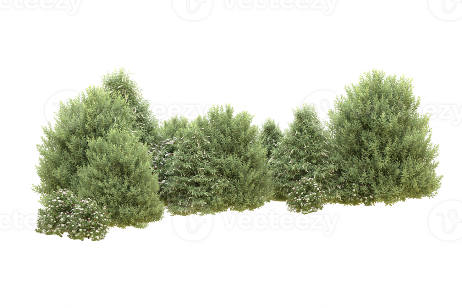 Realistic forest isolated on transparent background. 3d rendering - illustration png