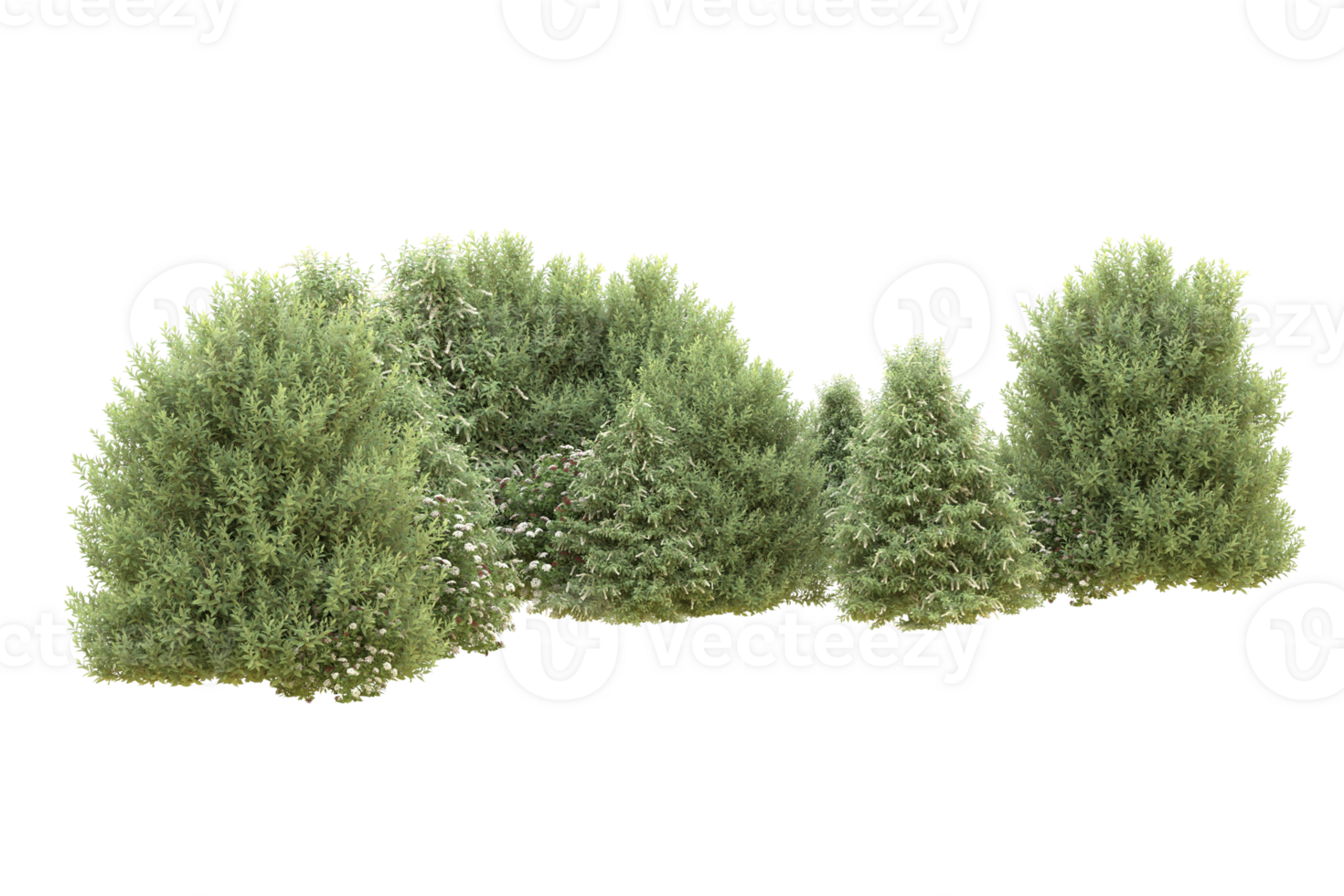 Realistic forest isolated on transparent background. 3d rendering - illustration png