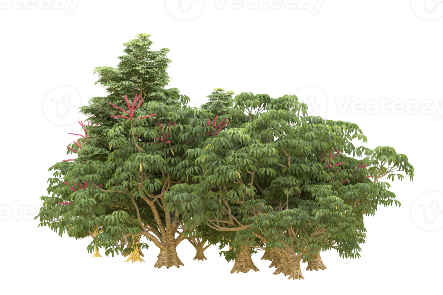 Realistic forest isolated on transparent background. 3d rendering - illustration png