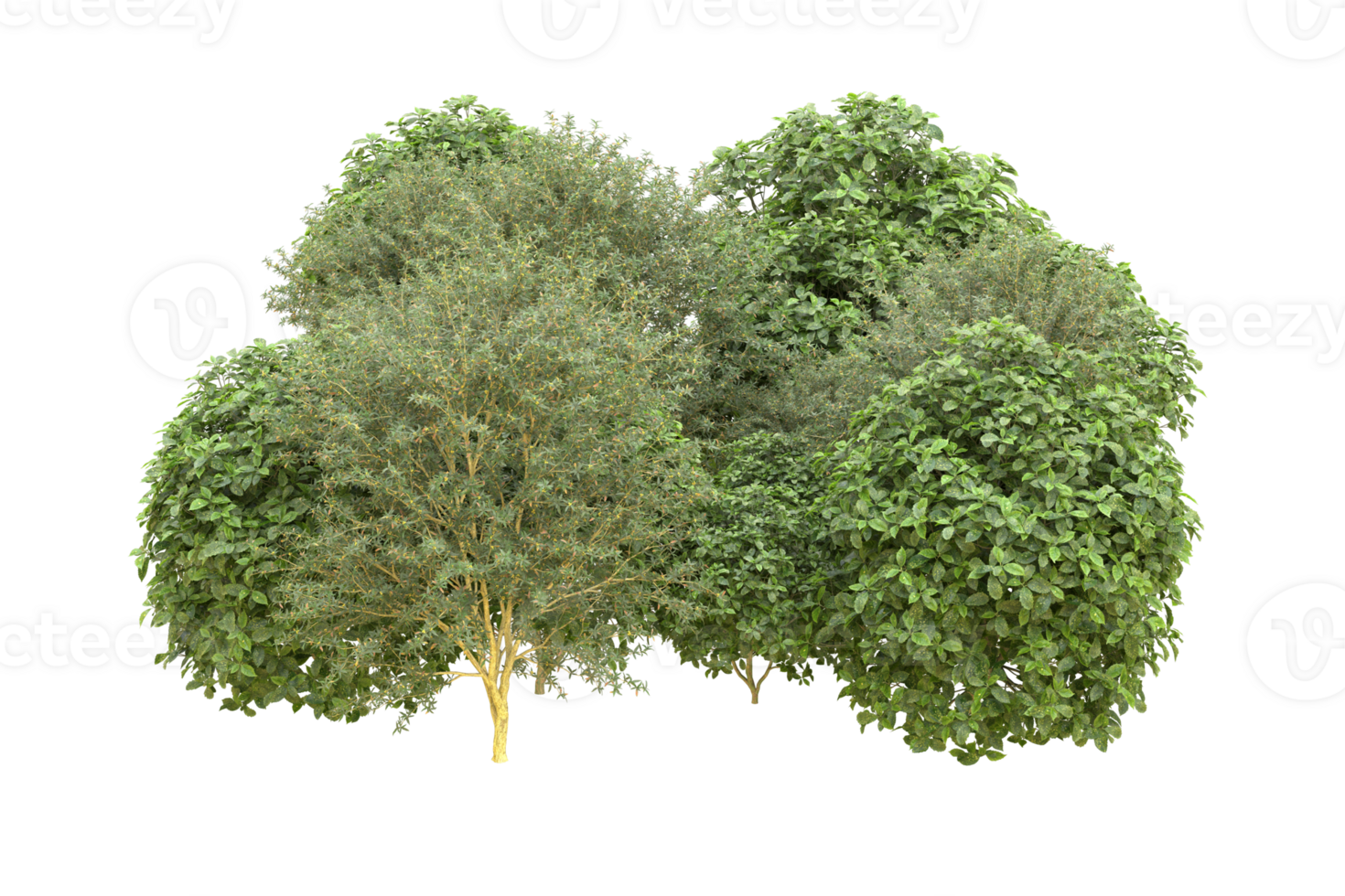 Realistic forest isolated on transparent background. 3d rendering - illustration png