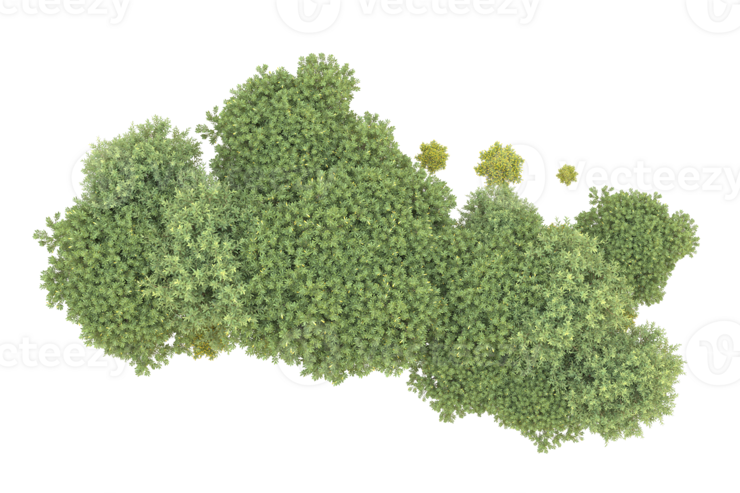Realistic forest isolated on transparent background. 3d rendering - illustration png