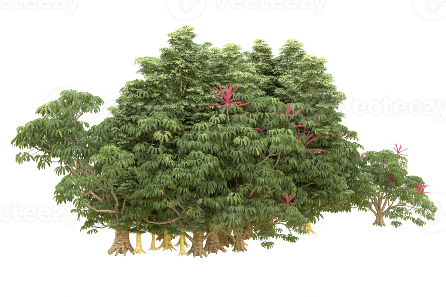 Realistic forest isolated on transparent background. 3d rendering - illustration png