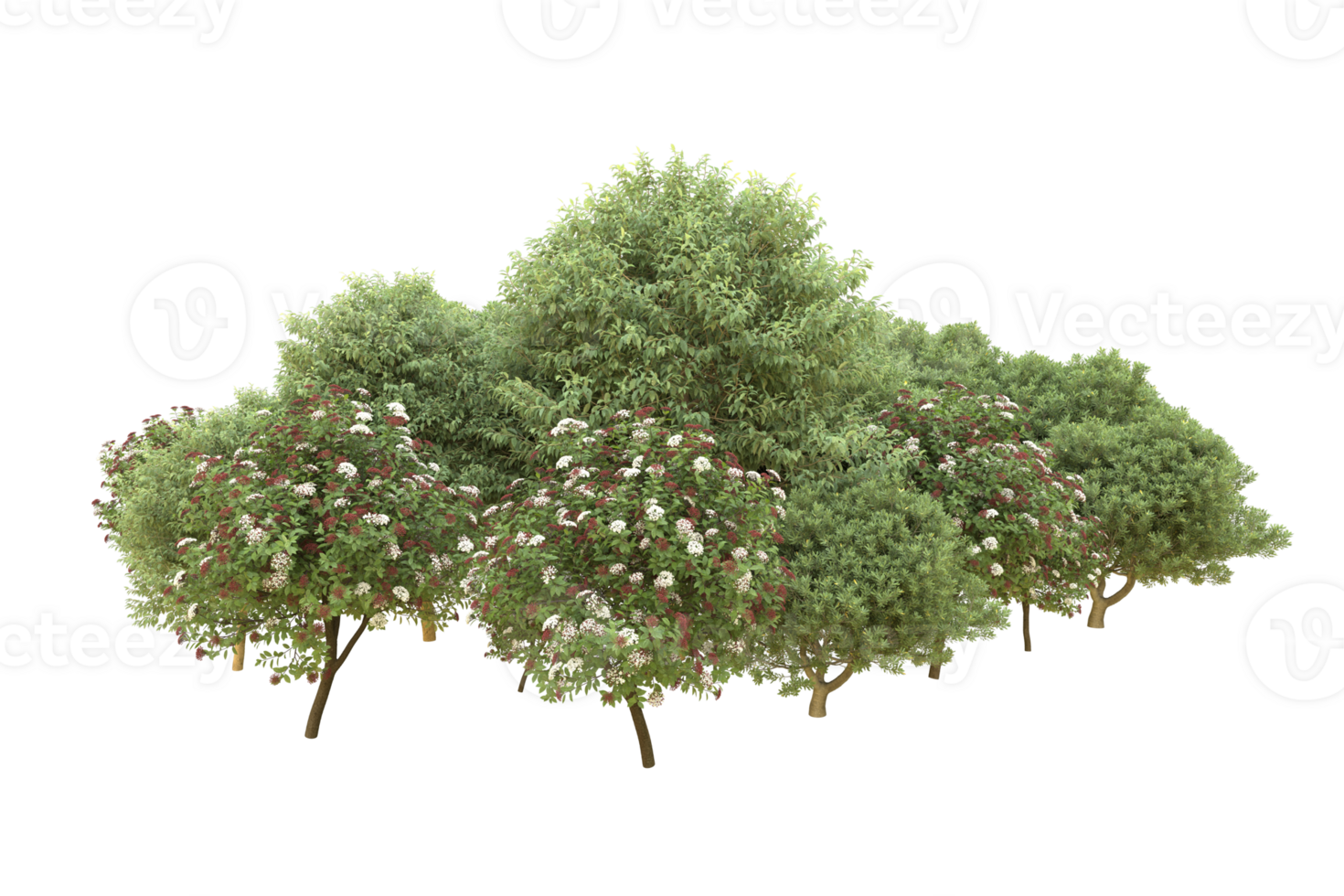 Realistic forest isolated on transparent background. 3d rendering - illustration png