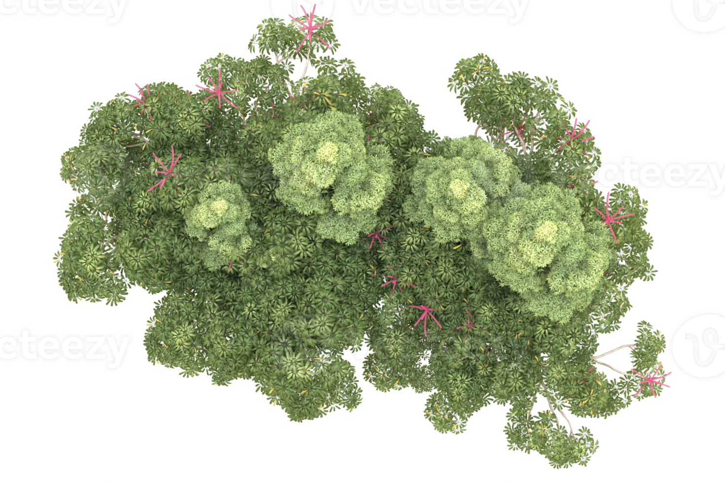 Realistic forest isolated on transparent background. 3d rendering - illustration png