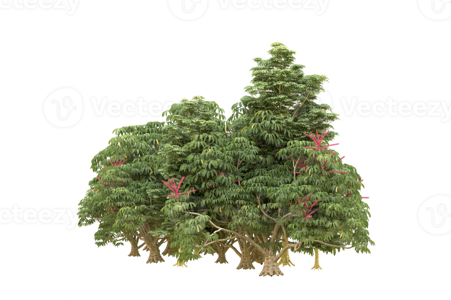 Realistic forest isolated on transparent background. 3d rendering - illustration png