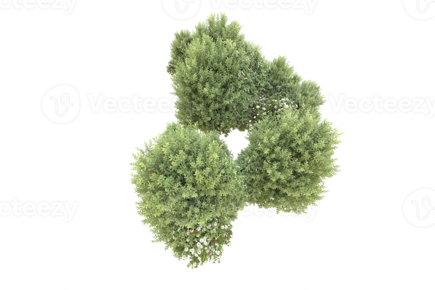 Realistic forest isolated on transparent background. 3d rendering - illustration png