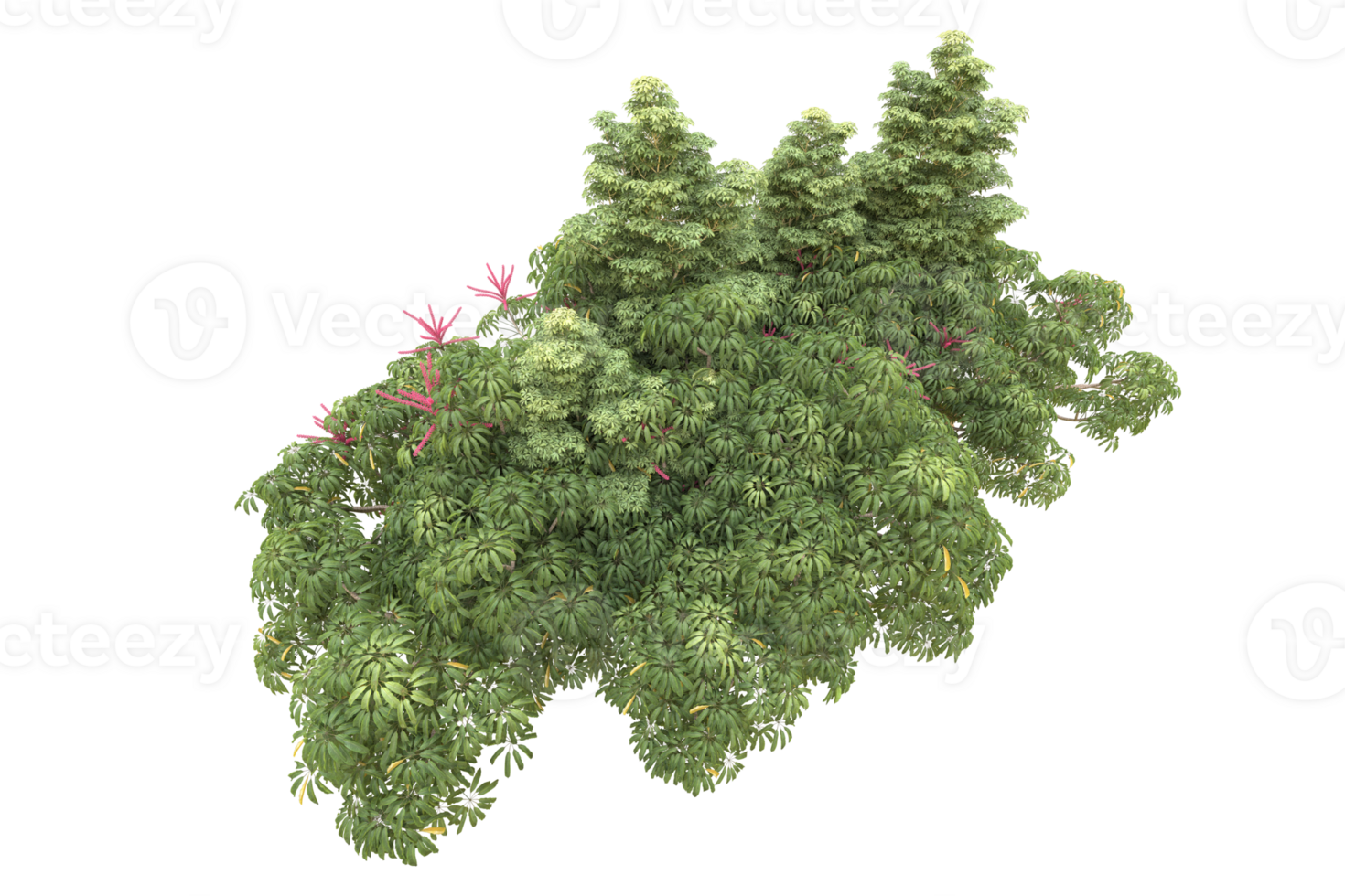 Realistic forest isolated on transparent background. 3d rendering - illustration png