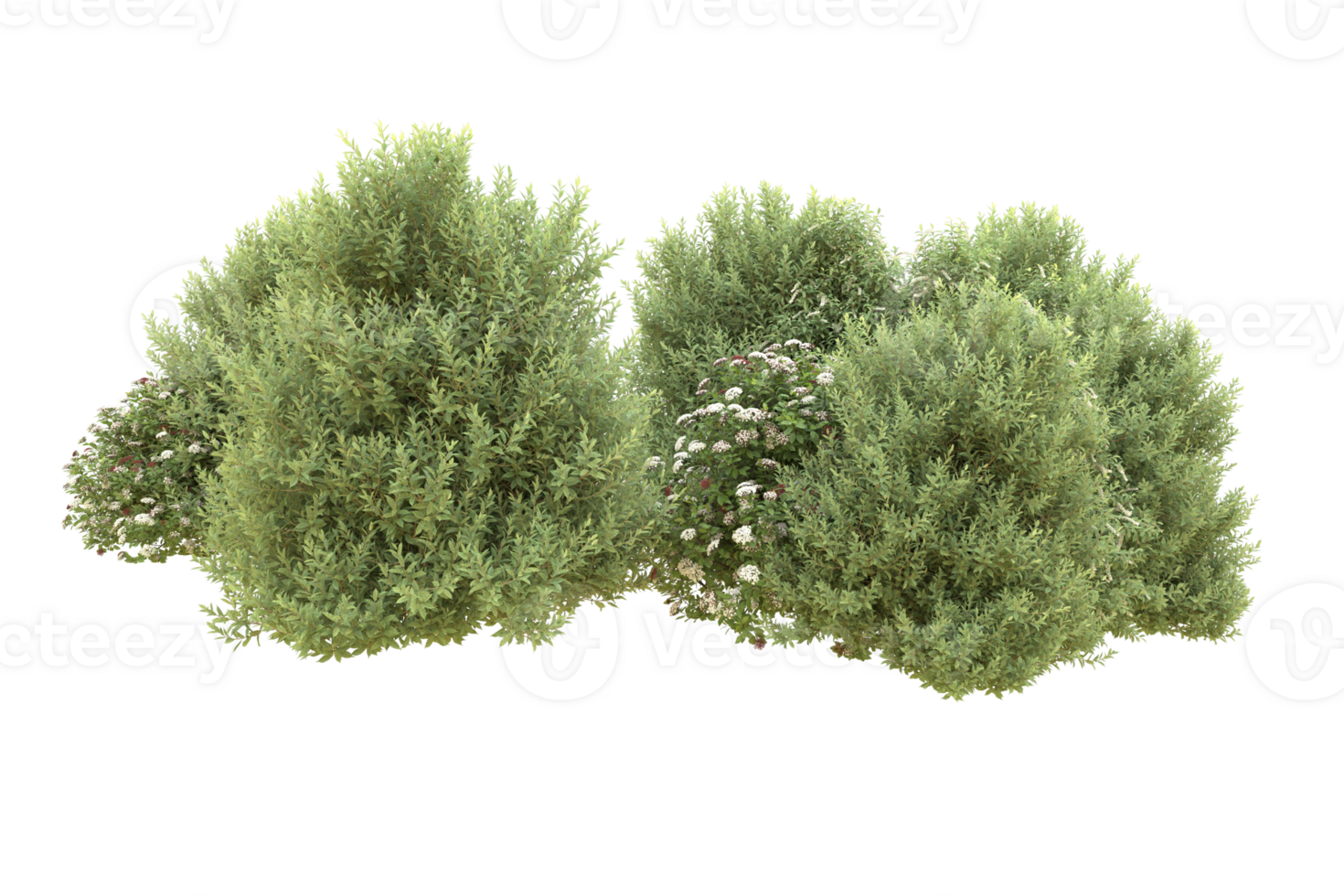 Realistic forest isolated on transparent background. 3d rendering - illustration png