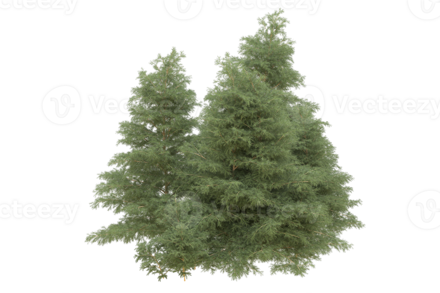 Realistic forest isolated on transparent background. 3d rendering - illustration png