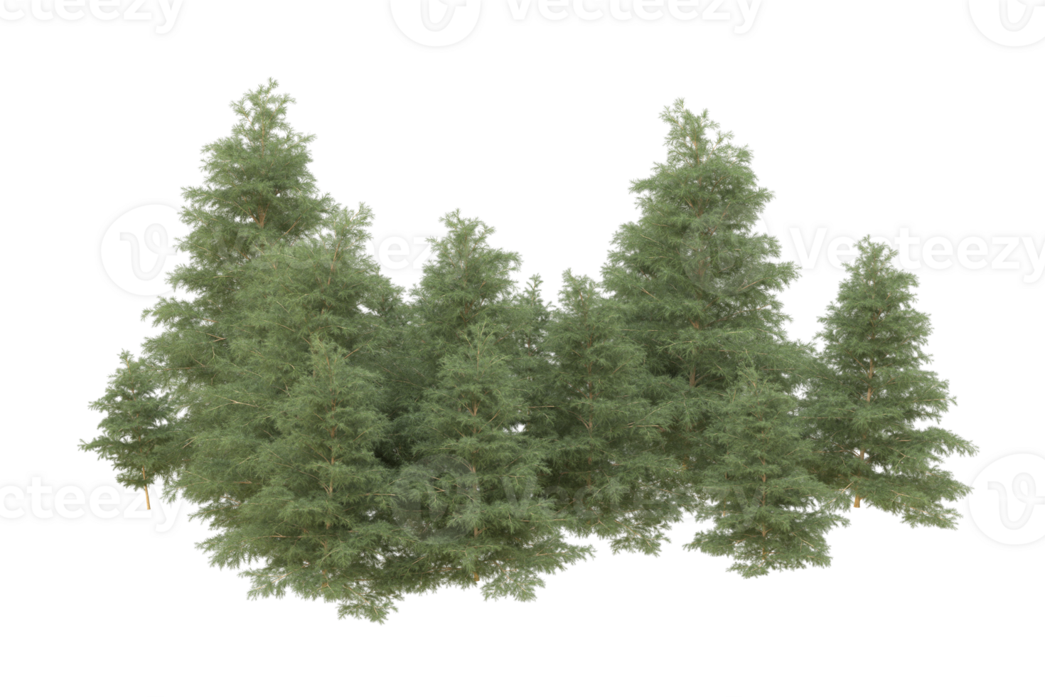 Realistic forest isolated on transparent background. 3d rendering - illustration png