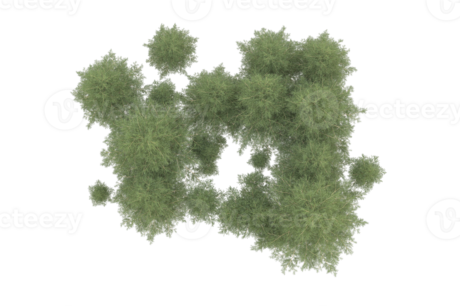 Realistic forest isolated on transparent background. 3d rendering - illustration png