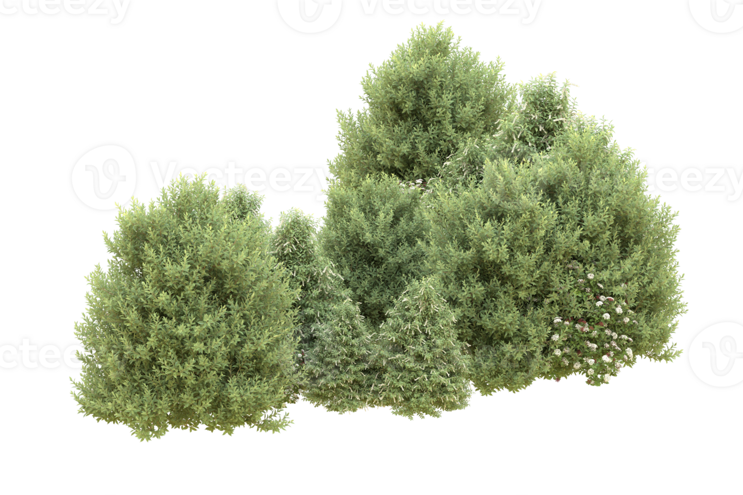 Realistic forest isolated on transparent background. 3d rendering - illustration png