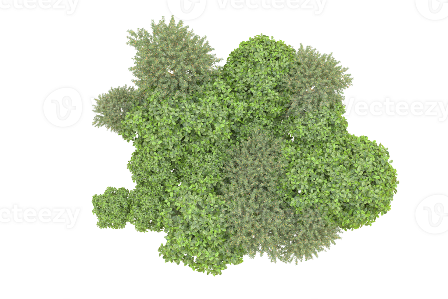 Realistic forest isolated on transparent background. 3d rendering - illustration png