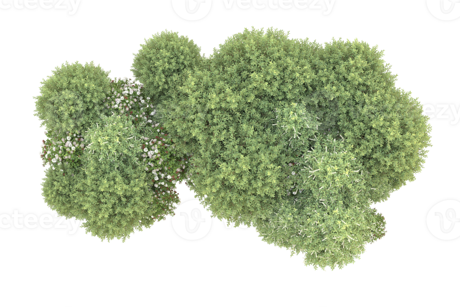 Realistic forest isolated on transparent background. 3d rendering - illustration png
