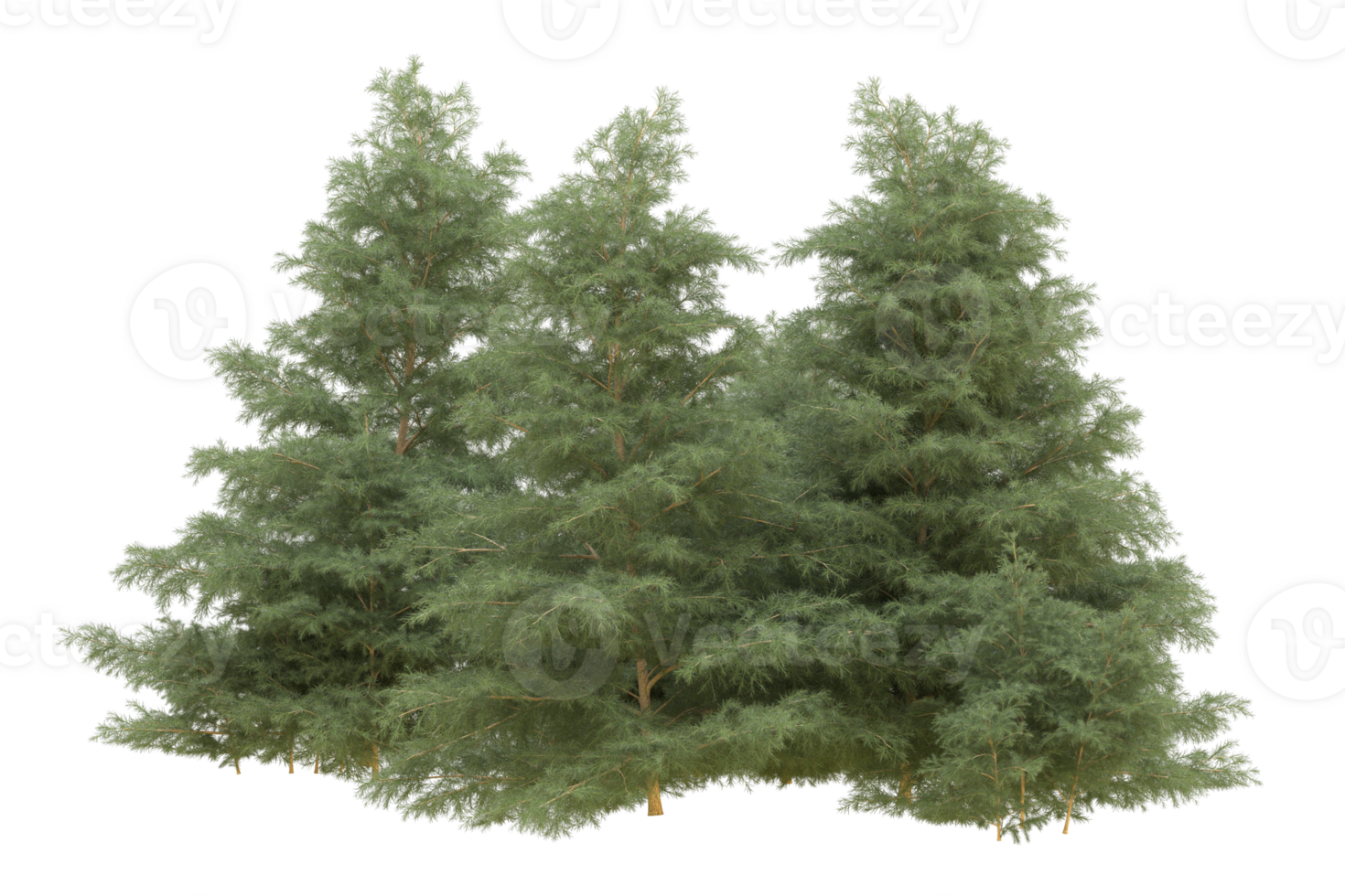 Realistic forest isolated on transparent background. 3d rendering - illustration png