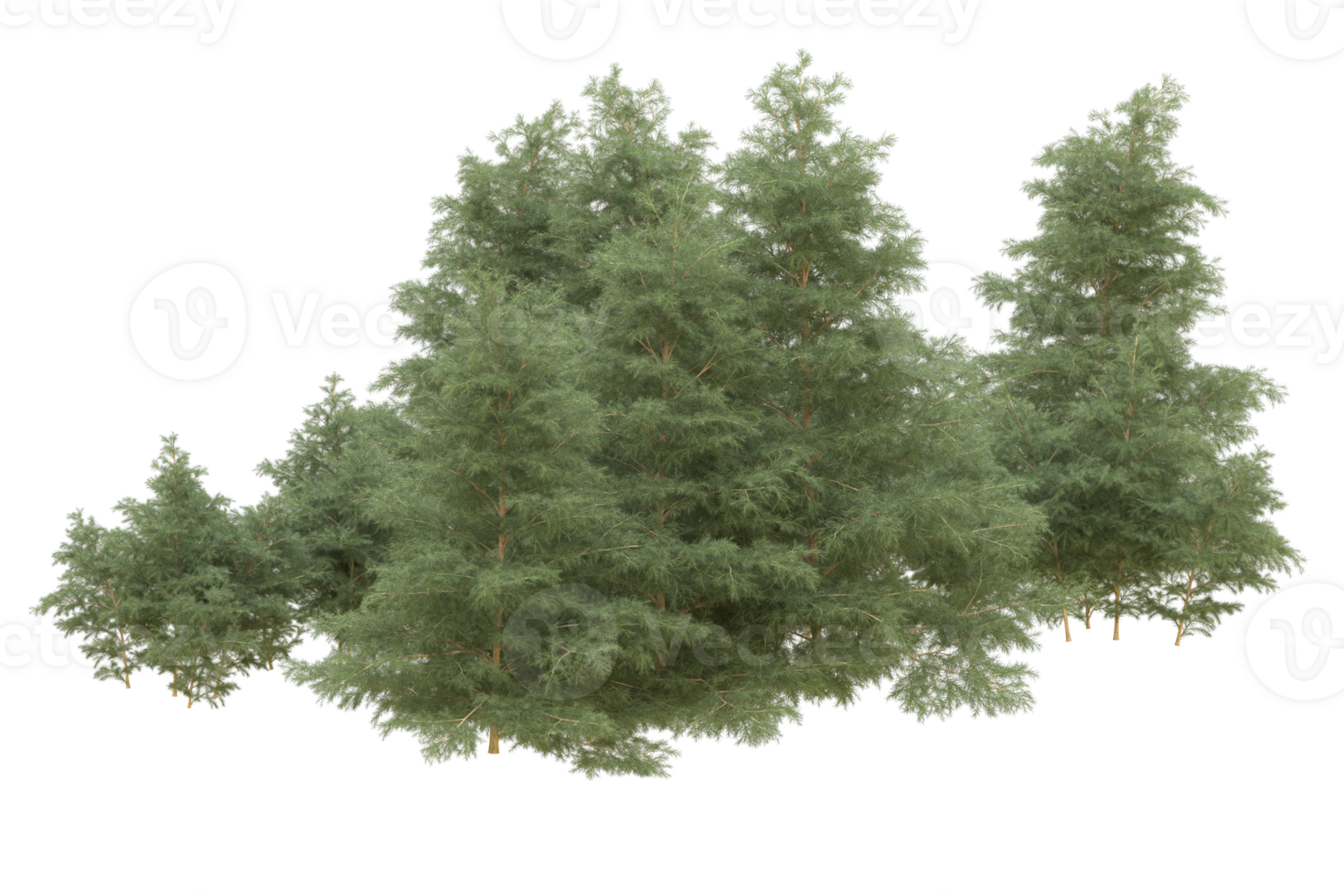 Realistic forest isolated on transparent background. 3d rendering - illustration png