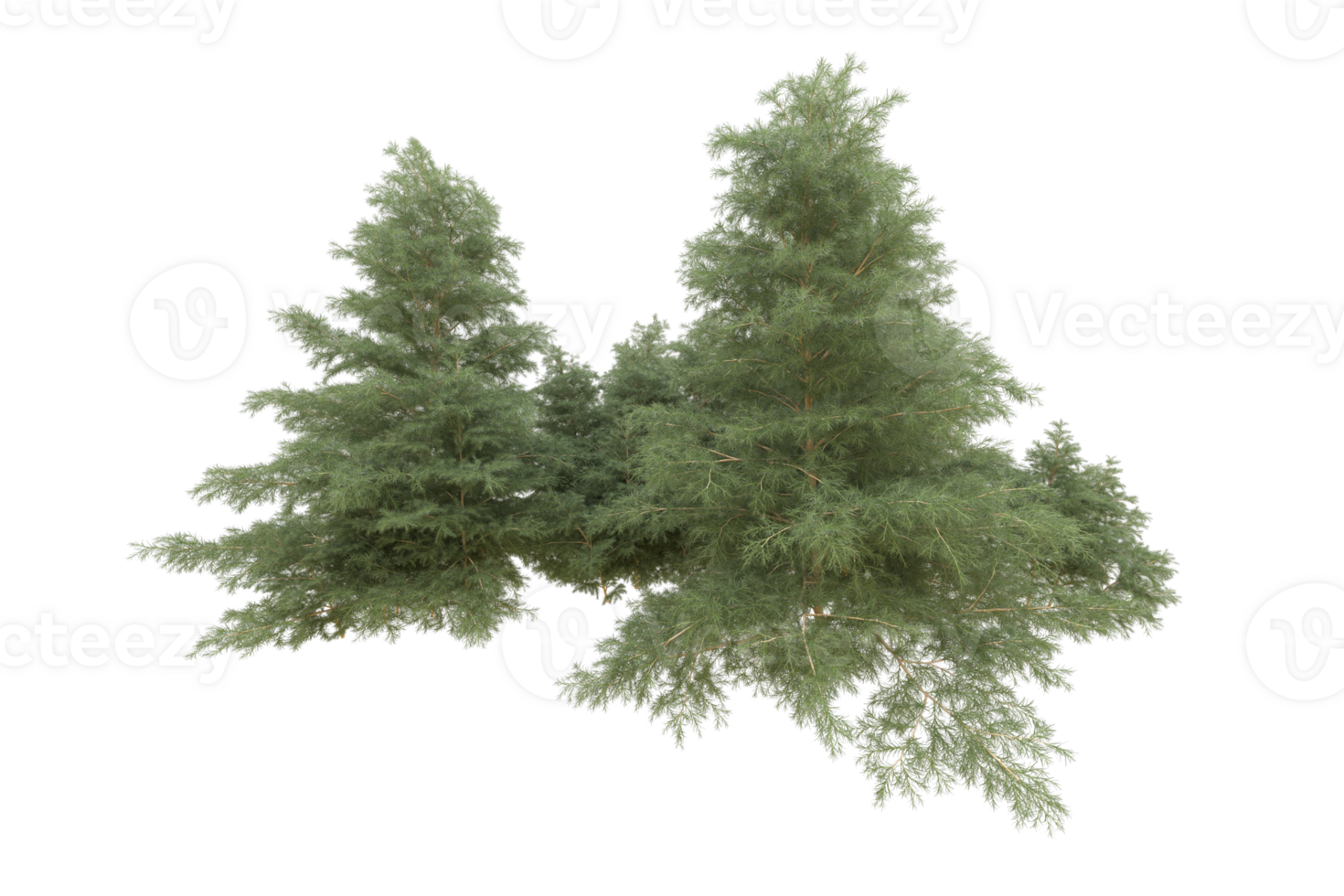 Realistic forest isolated on transparent background. 3d rendering - illustration png