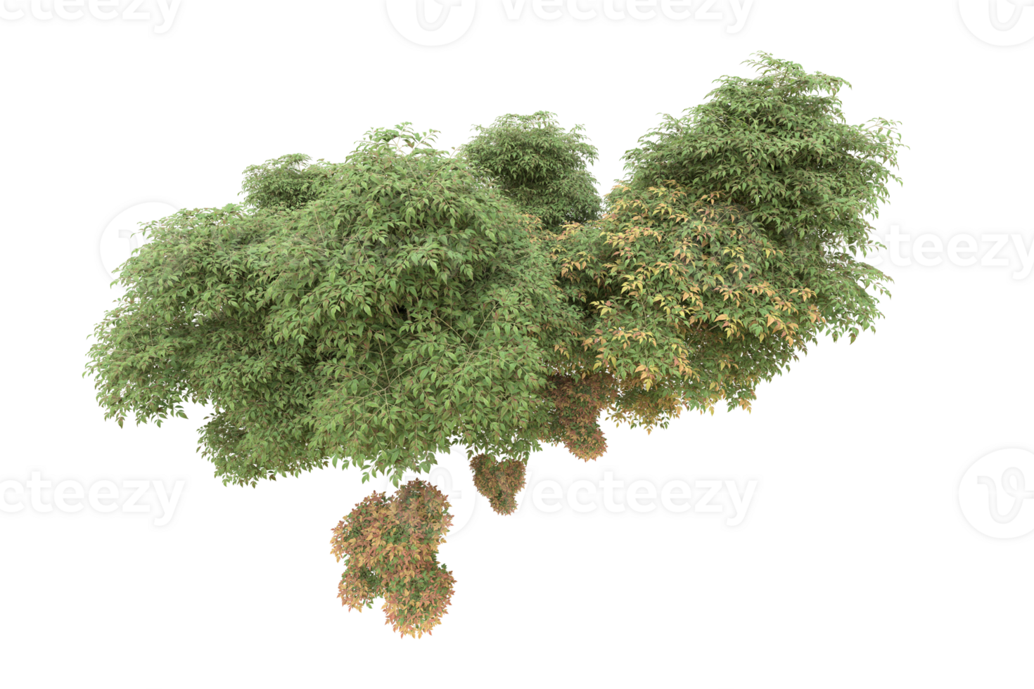 Realistic forest isolated on transparent background. 3d rendering - illustration png