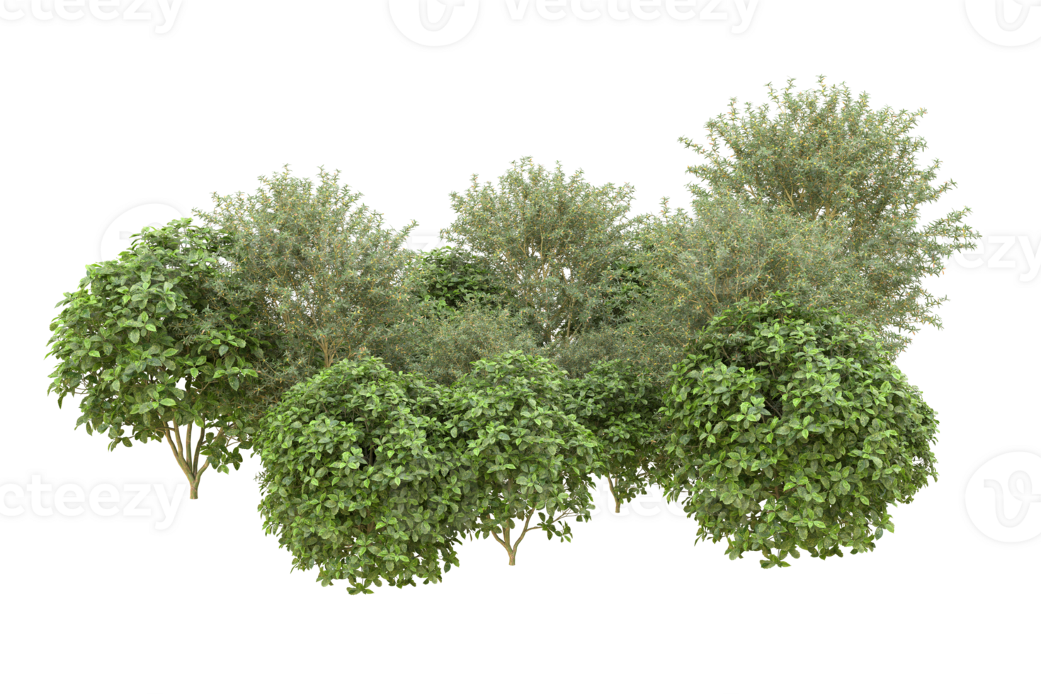 Realistic forest isolated on transparent background. 3d rendering - illustration png