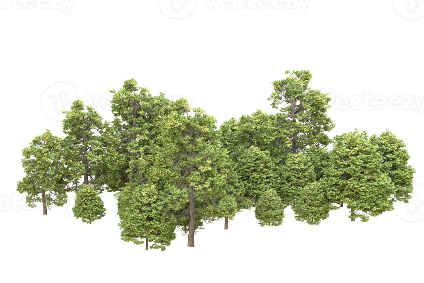 Realistic forest isolated on transparent background. 3d rendering - illustration png