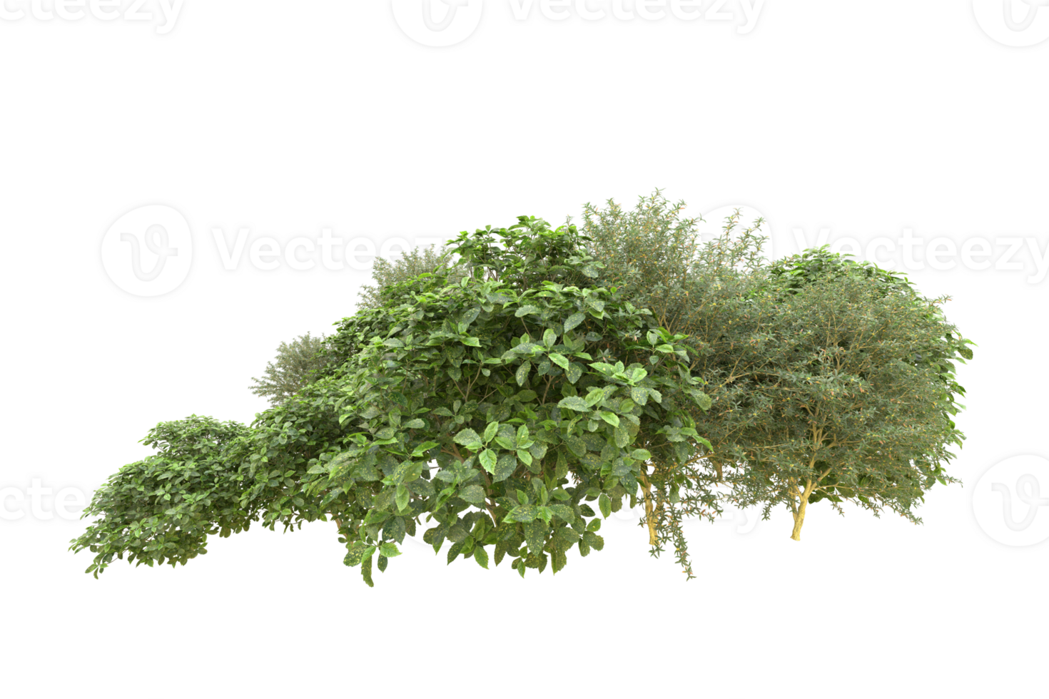 Realistic forest isolated on transparent background. 3d rendering - illustration png