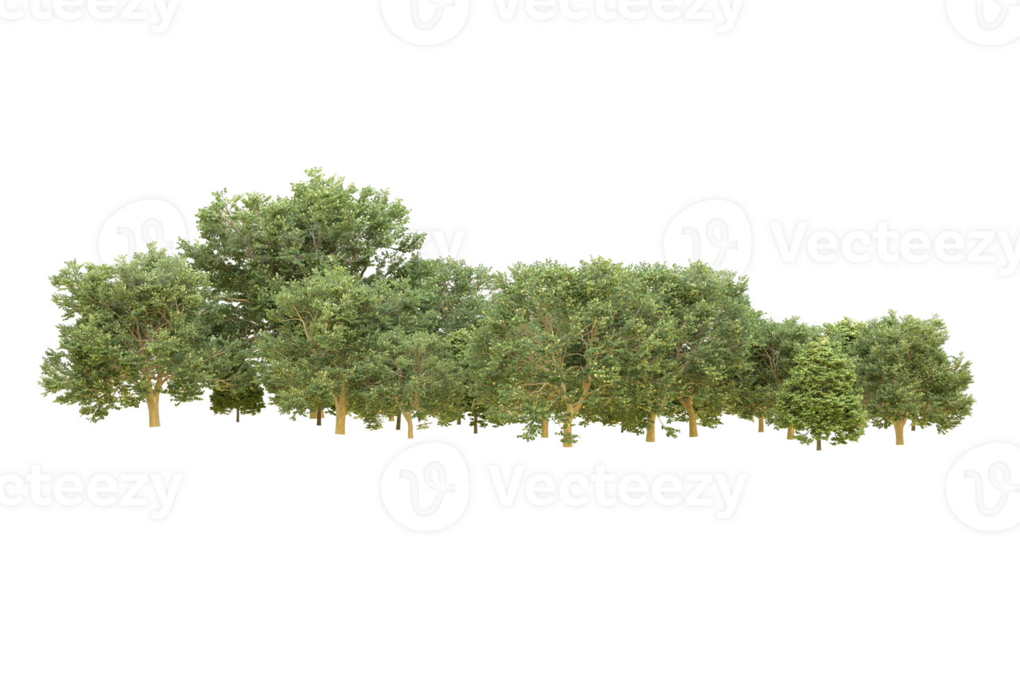 Realistic forest isolated on transparent background. 3d rendering - illustration png
