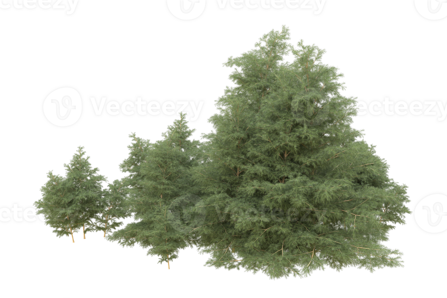 Realistic forest isolated on transparent background. 3d rendering - illustration png