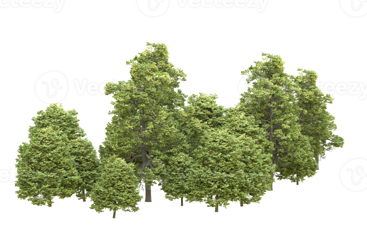 Realistic forest isolated on transparent background. 3d rendering - illustration png