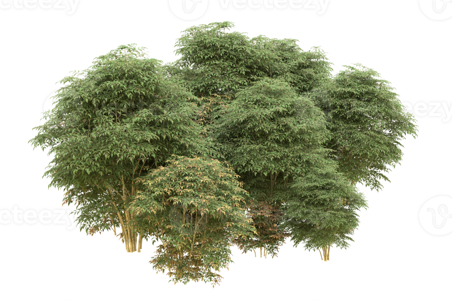 Realistic forest isolated on transparent background. 3d rendering - illustration png