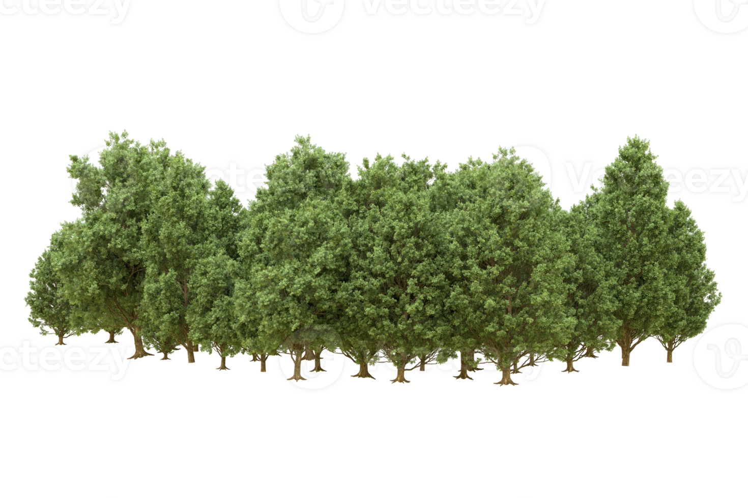 Realistic forest isolated on transparent background. 3d rendering - illustration png