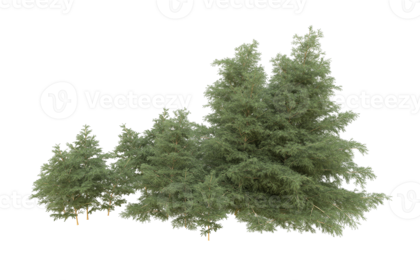 Realistic forest isolated on transparent background. 3d rendering - illustration png
