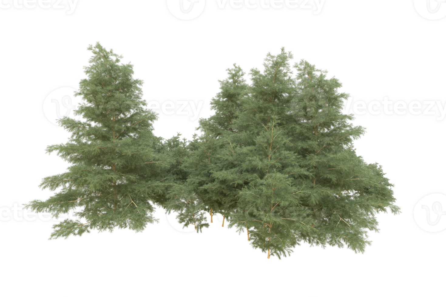 Realistic forest isolated on transparent background. 3d rendering - illustration png