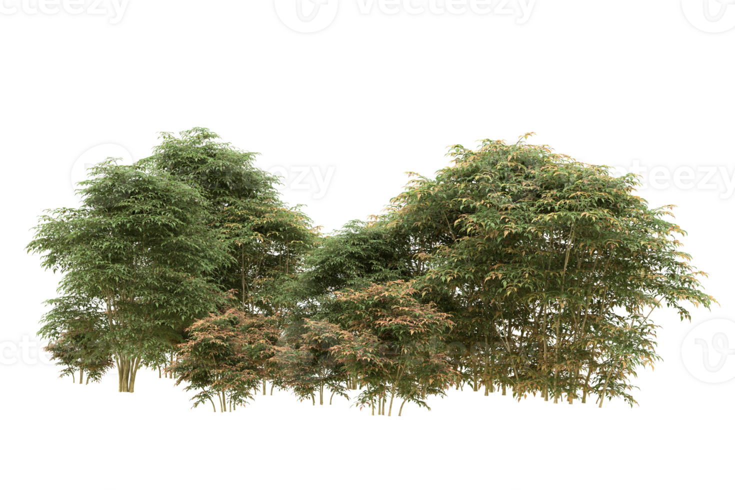 Realistic forest isolated on transparent background. 3d rendering - illustration png