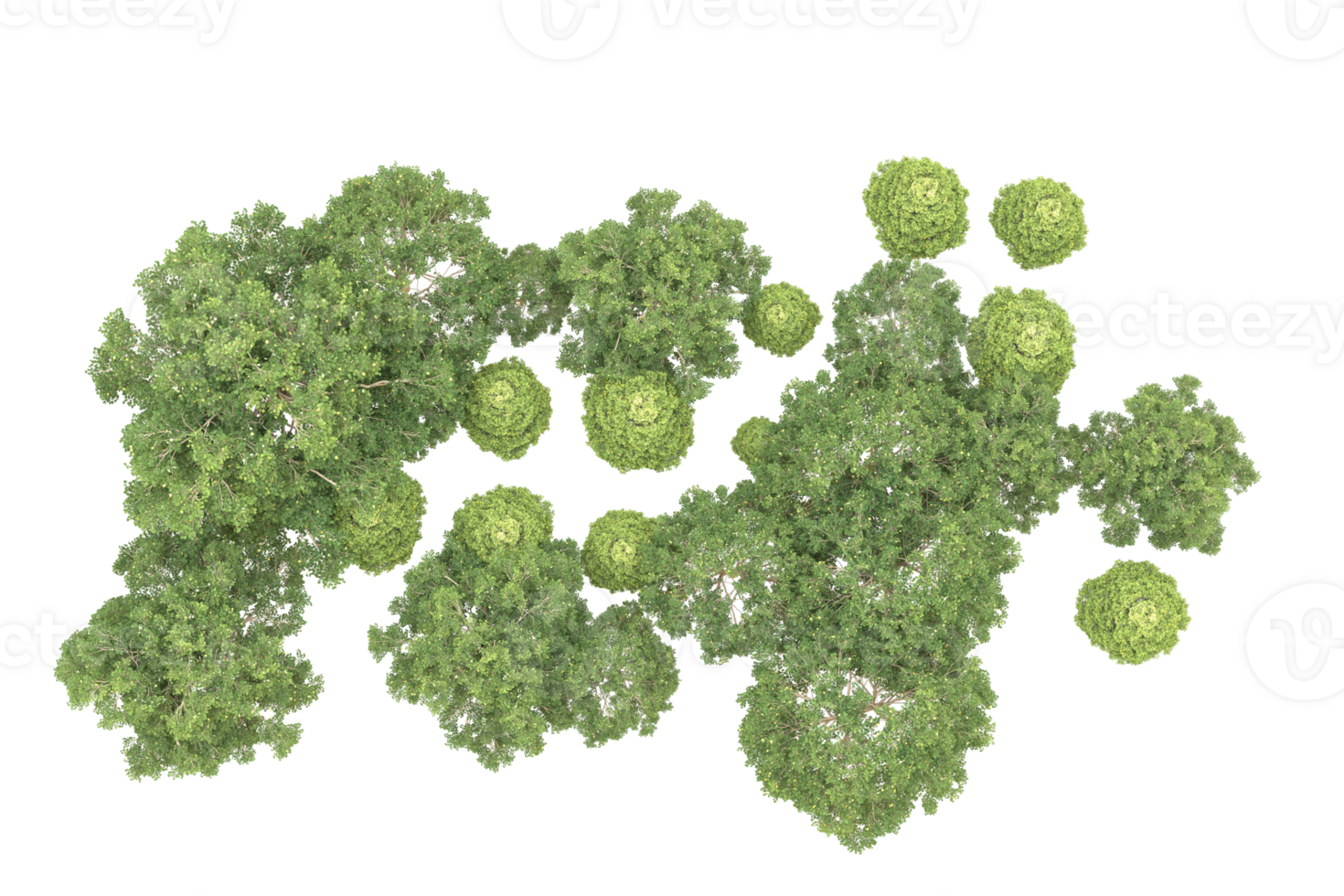 Realistic forest isolated on transparent background. 3d rendering - illustration png
