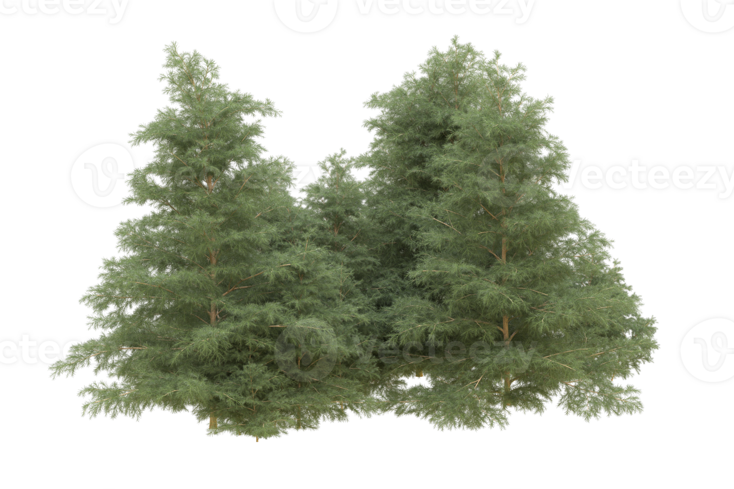 Realistic forest isolated on transparent background. 3d rendering - illustration png