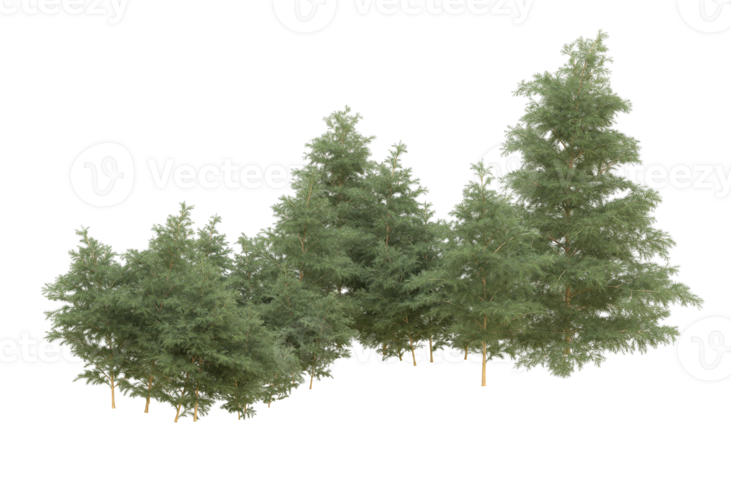 Realistic forest isolated on transparent background. 3d rendering - illustration png