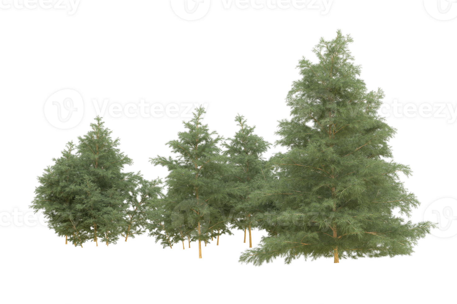 Realistic forest isolated on transparent background. 3d rendering - illustration png