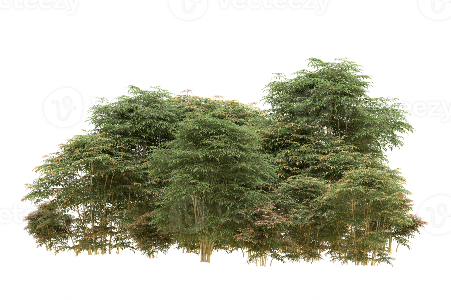 Realistic forest isolated on transparent background. 3d rendering - illustration png