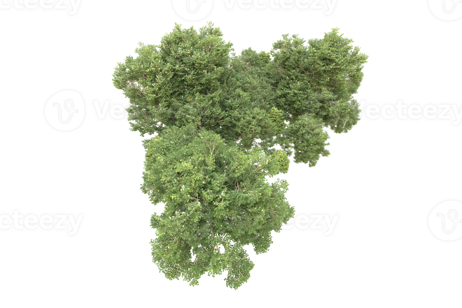 Realistic forest isolated on transparent background. 3d rendering - illustration png