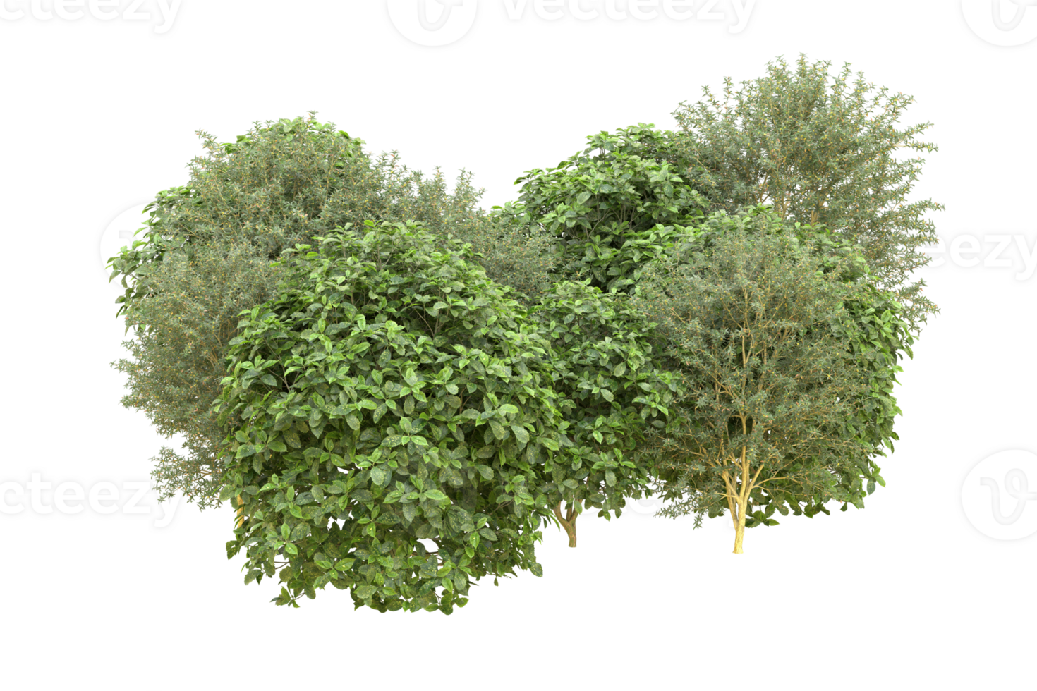 Realistic forest isolated on transparent background. 3d rendering - illustration png