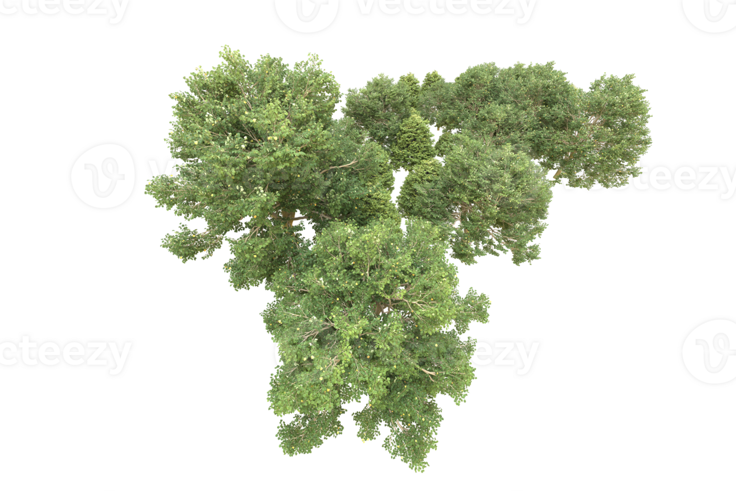 Realistic forest isolated on transparent background. 3d rendering - illustration png