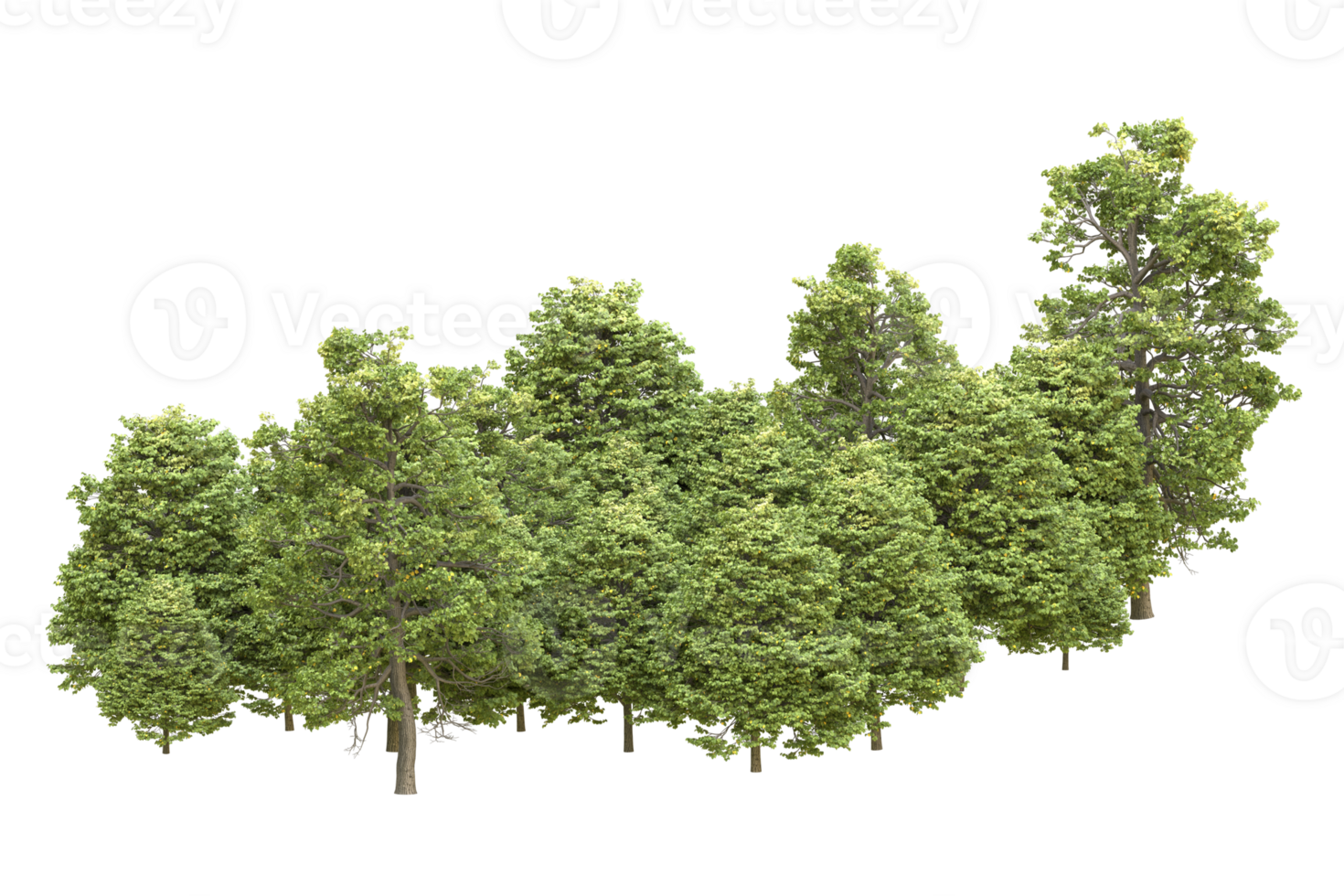 Realistic forest isolated on transparent background. 3d rendering - illustration png