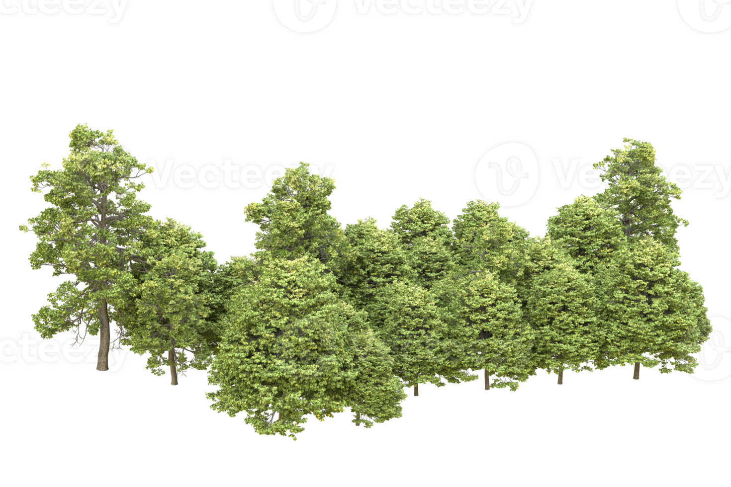Realistic forest isolated on transparent background. 3d rendering - illustration png