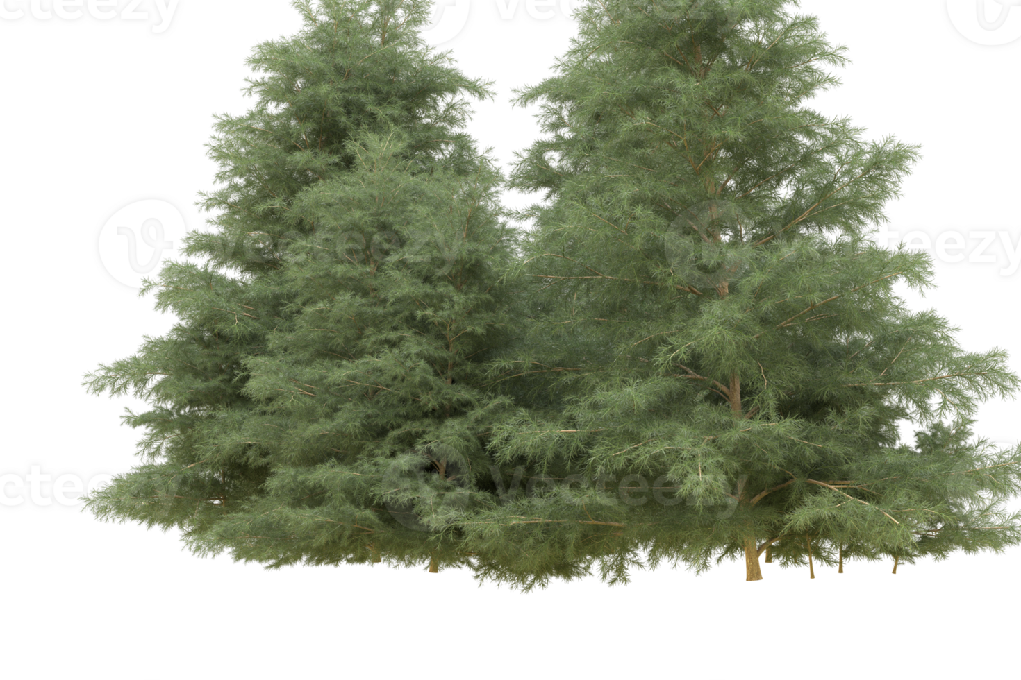 Realistic forest isolated on transparent background. 3d rendering - illustration png