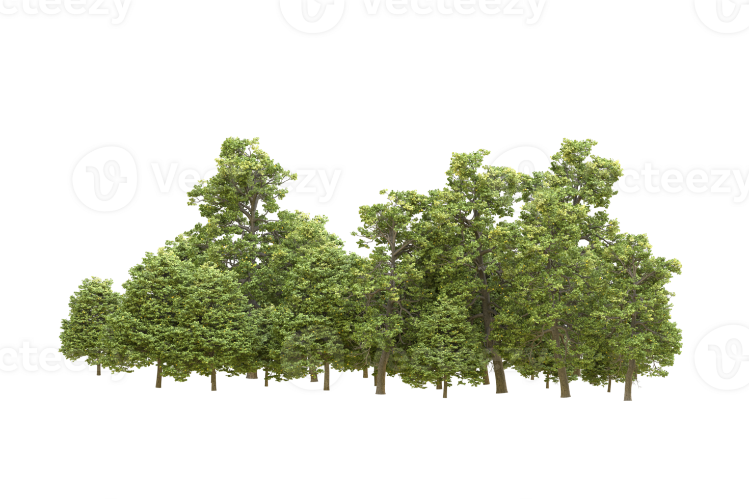 Realistic forest isolated on transparent background. 3d rendering - illustration png