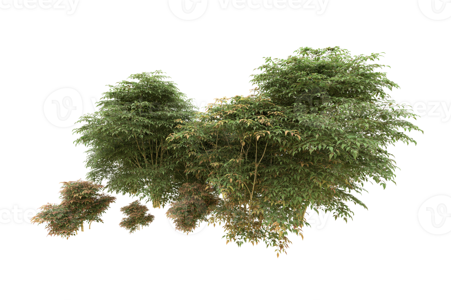 Realistic forest isolated on transparent background. 3d rendering - illustration png