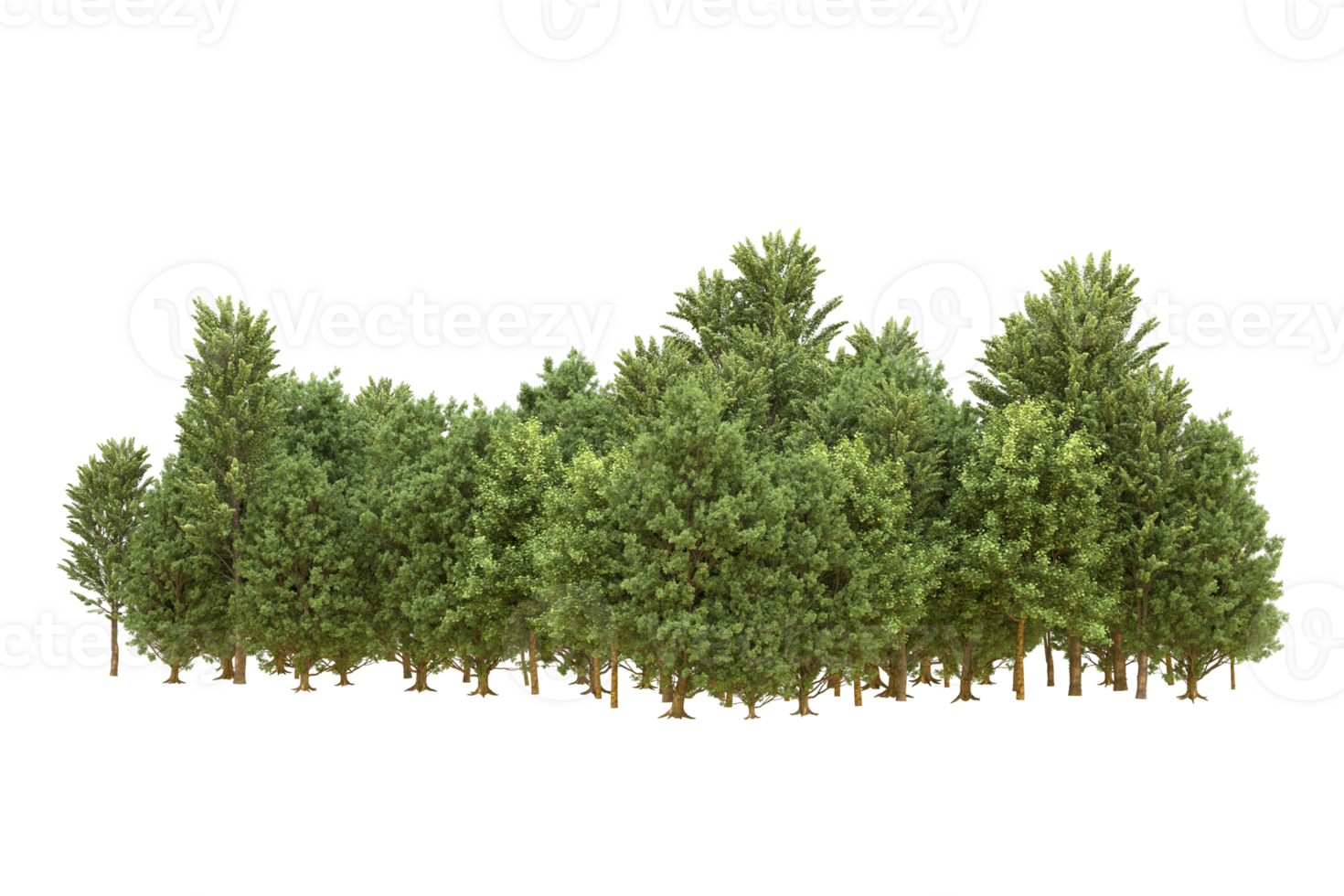 realistico foresta isolato su trasparente sfondo. 3d interpretazione - illustrazione png